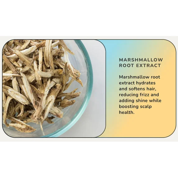 Cloud Volumizing Shampoo for Fuller and Thicker Hair, 12 oz